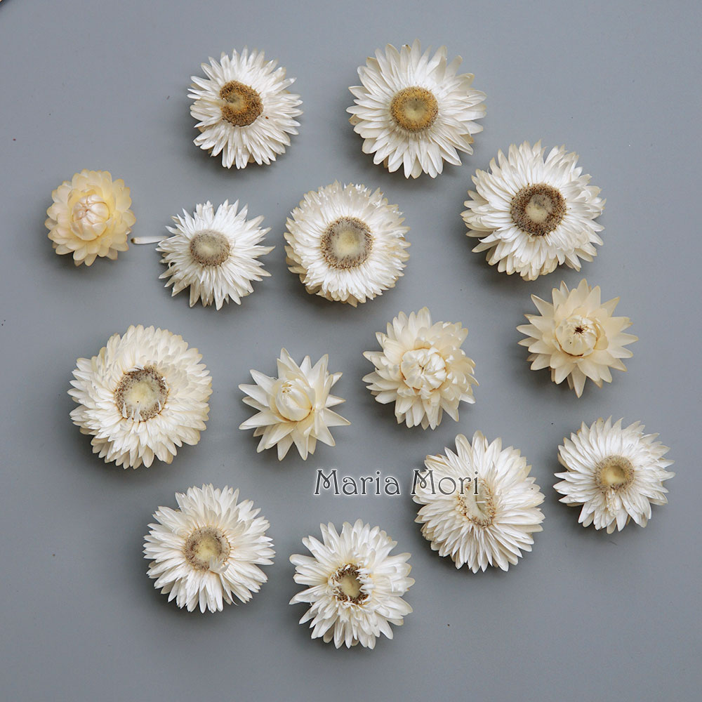 Natural Dried Colorful Chrysan - Baby Products In recension och pris